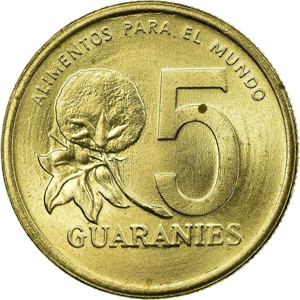 Coin, Paraguay, 5 Guaranies, 1992, EF(40-45), Nickel-Bronze, KM:166a
