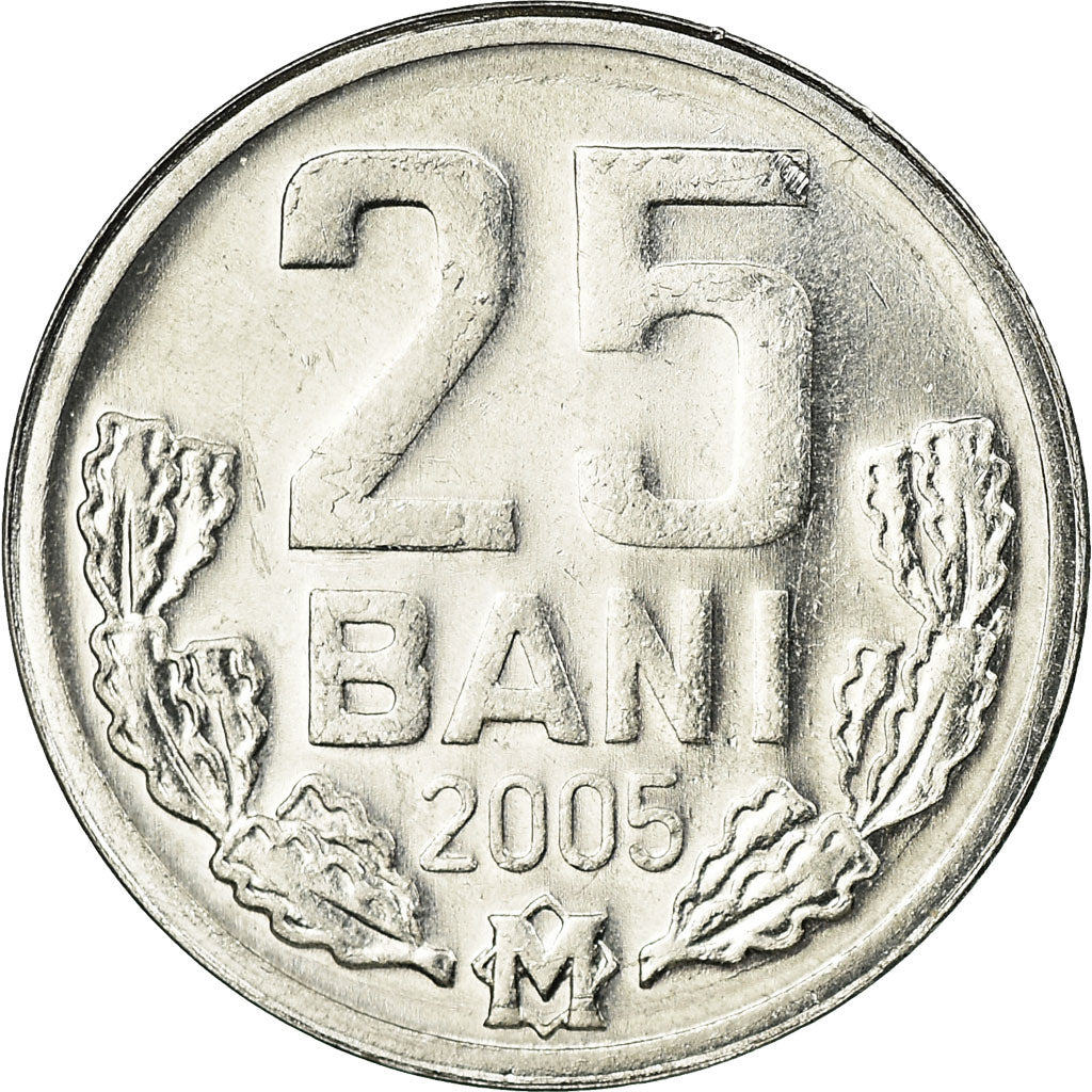 Moneta, Moldava, 25 Bani, 2005, BB, Alluminio, KM:3