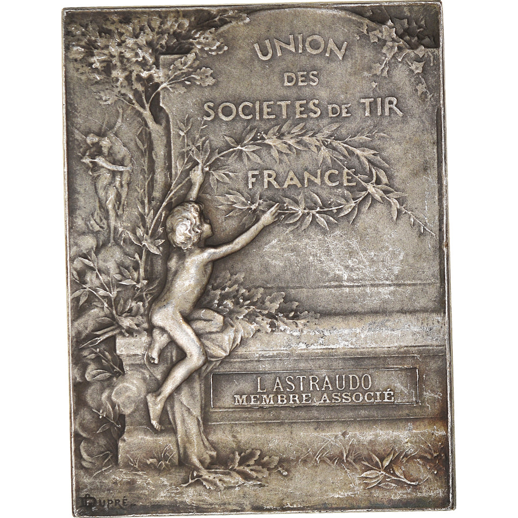 Frankreich, Medaille, Union des Sociétés de Tir de France, Sports & leisure