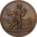 France, Médaille, Agriculture and Horticulture, Comice Agricole de Saintes