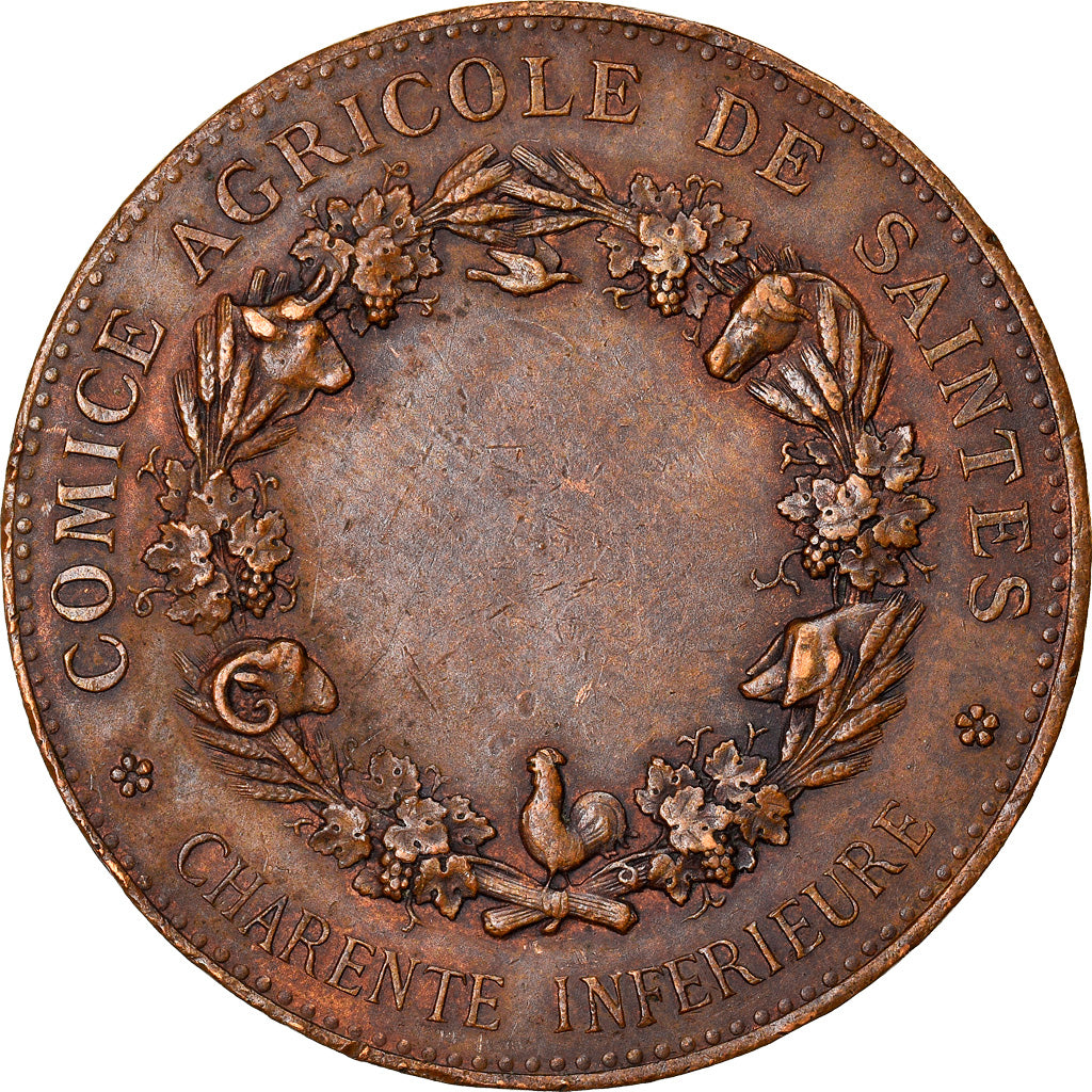 France, Medal, Agriculture and Horticulture, Comice Agricole de Saintes