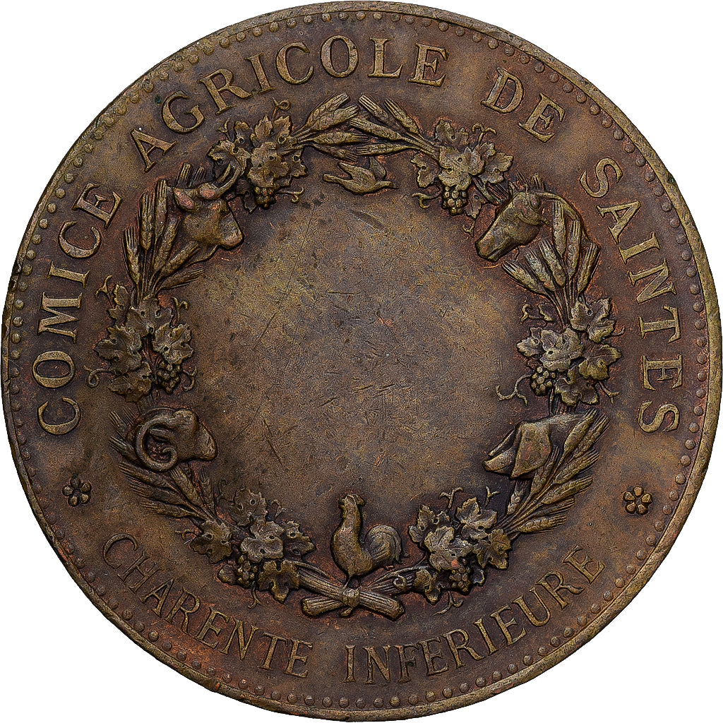 France, Médaille, Agriculture and Horticulture, Comice Agricole de Saintes