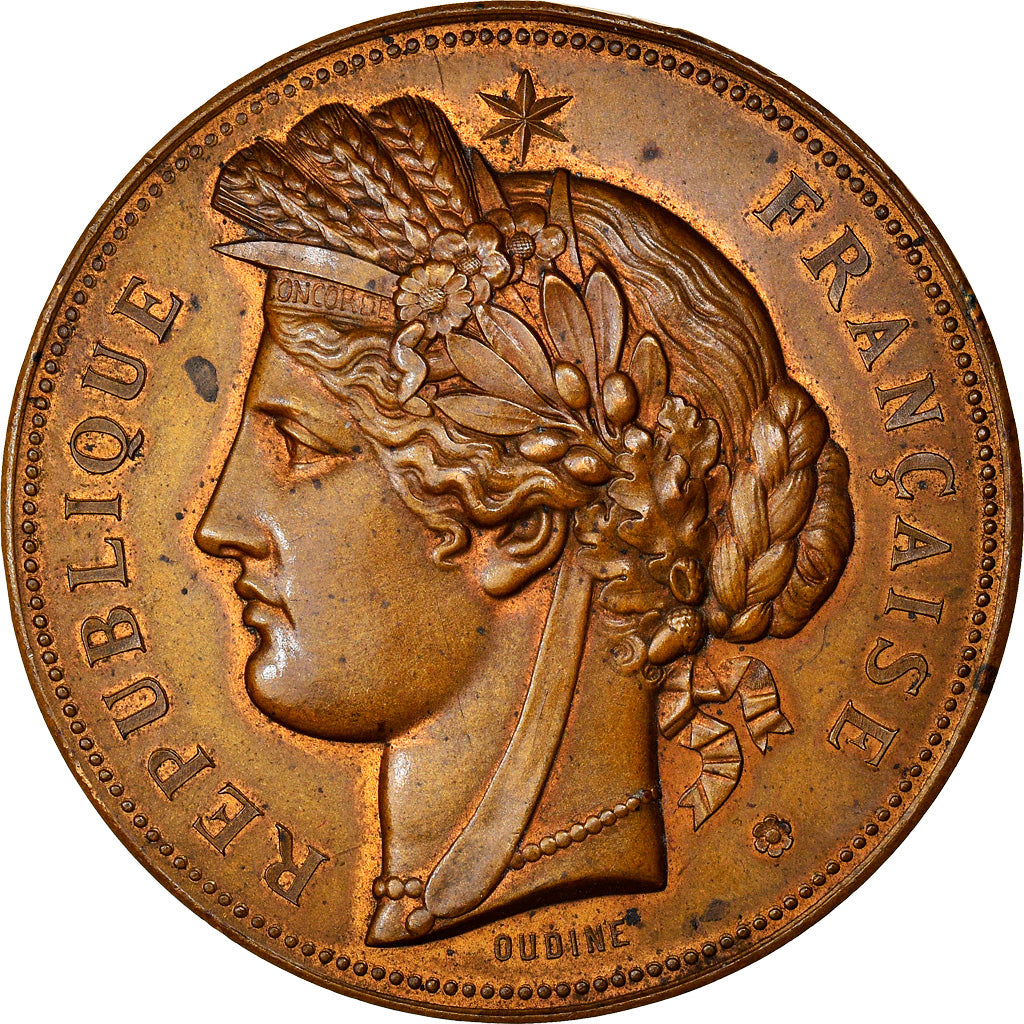 France, Médaille, Prix de Tir Offert par le Ministre de la Guerre, 1888