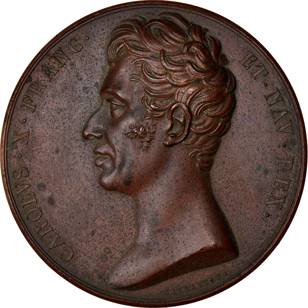 France, Médaille, Charles X, Maintien de la Charte, Paris, History, 1824