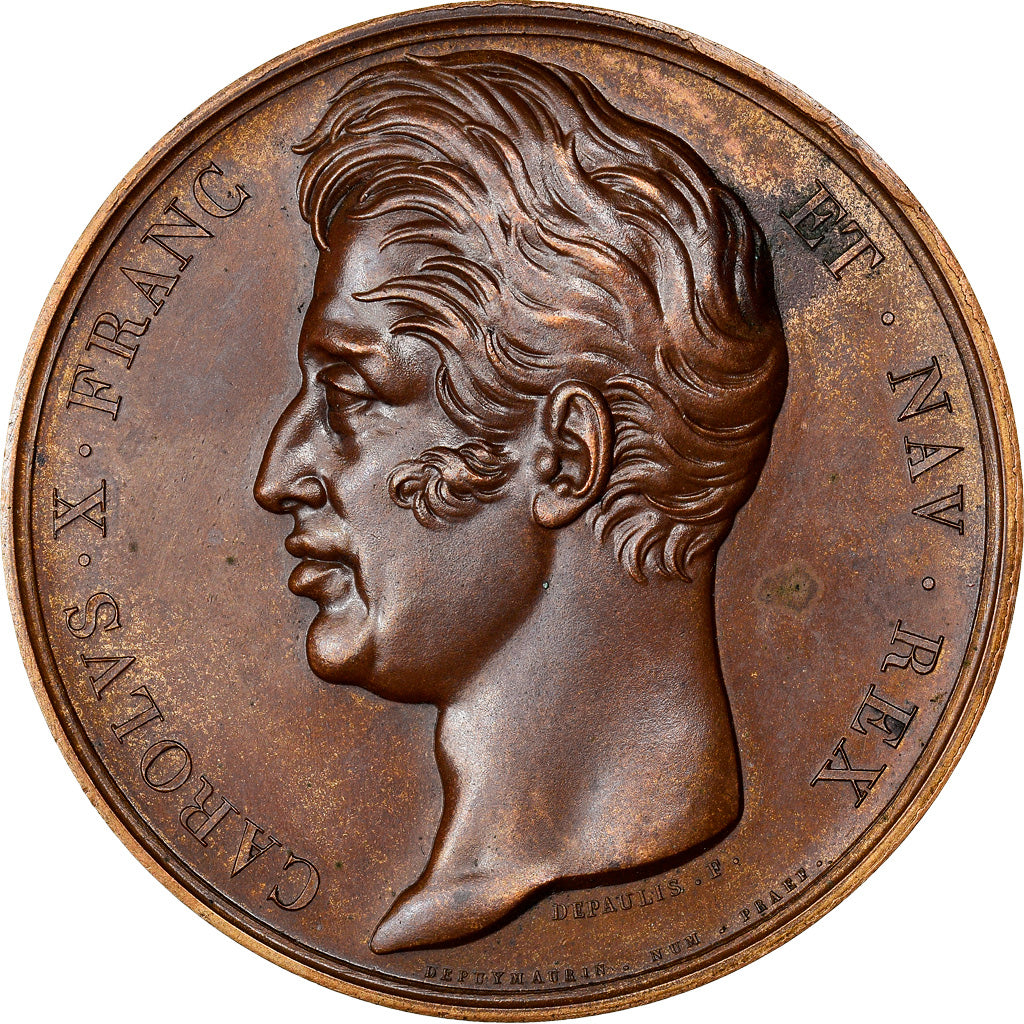 France, Médaille, Charles X, Monument à la Mémoire de louis XVI, History