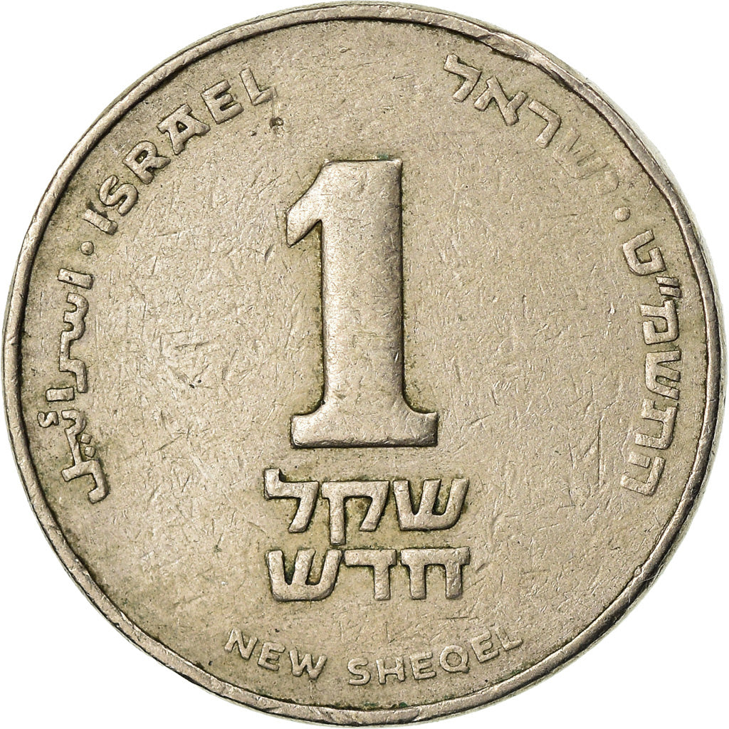 Coin, Israel, New Sheqel, 1989, EF(40-45), Copper-nickel, KM:160