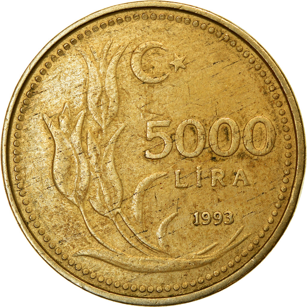 Monnaie, Turquie, 5000 Lira, 1993, TTB, Nickel-Bronze, KM:1025