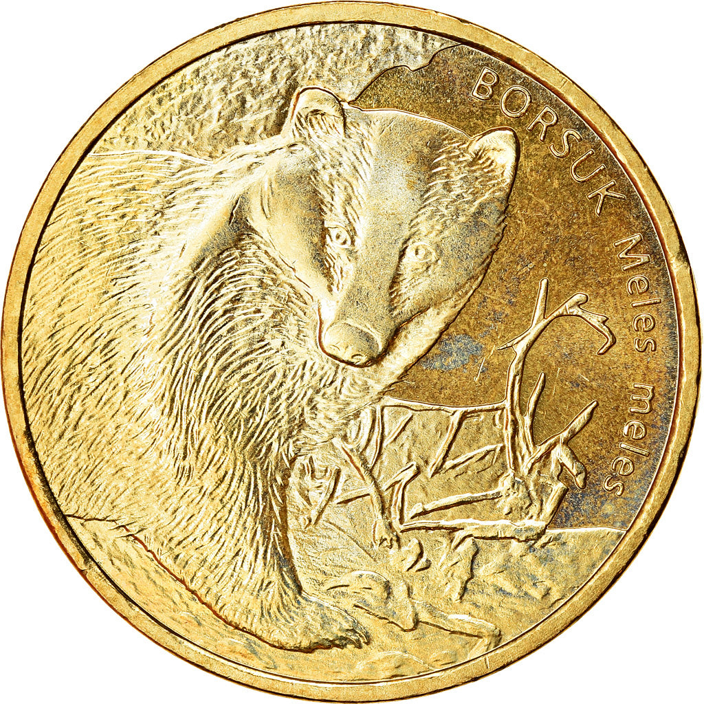 Monnaie, Pologne, 2 Zlote, 2011, Warsaw, SUP, Laiton, KM:762