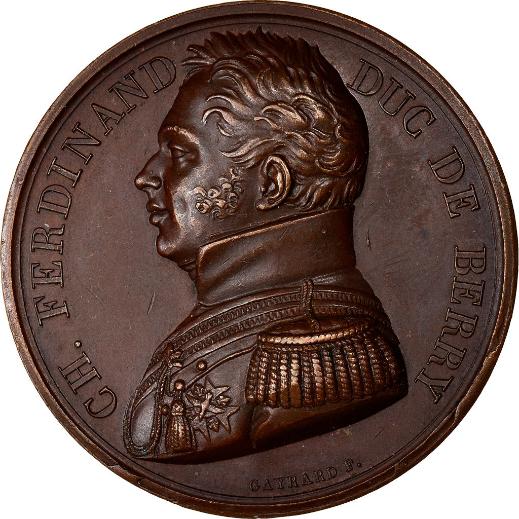 France, Medal, Charles Ferdinand Duc de Berry, History, 1820, Gayrard