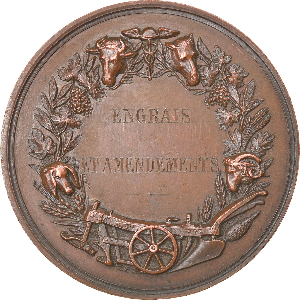 France, Medal, Comice Agricole de Blois, Engrais et Amendements, Borrel.A