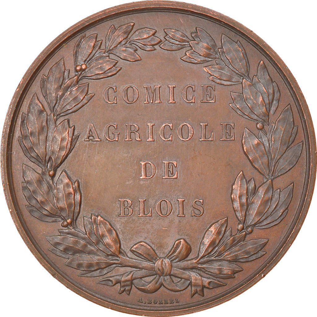 France, Medal, Comice Agricole de Blois, Engrais et Amendements, Borrel.A