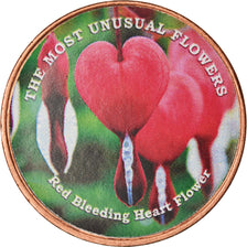 Münze, Somaliland, Shilling, 2019, Fleurs - Coeur de Marie, UNZ, Stainless