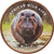 Moneta, Somaliland, Shilling, 2018, Faune africaine - Hippopotame, SPL, Acciaio