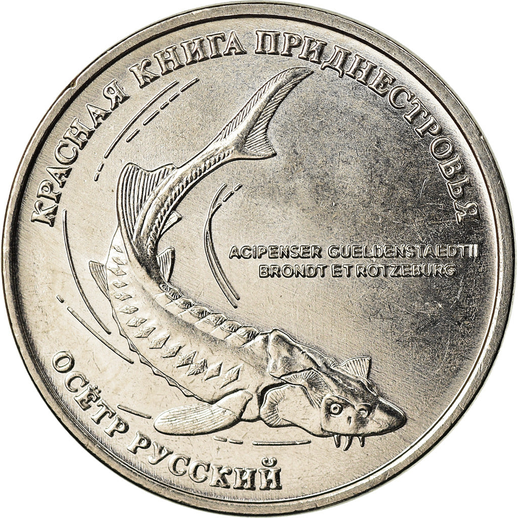 Moneta, Transnistria, Rouble, 2018, Esturgeon, MS(63), Miedź-Nikiel