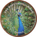 Moneta, Somaliland, Shilling, 2019, Oiseaux - Paon, SPL, Acciaio placcato nichel
