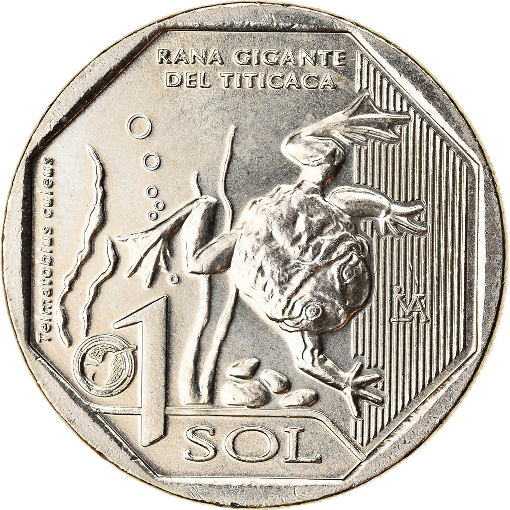 Moneta, Perù, Sol, 2019, Lima, Grenouille du Titicaca, SPL, Nichel-ottone
