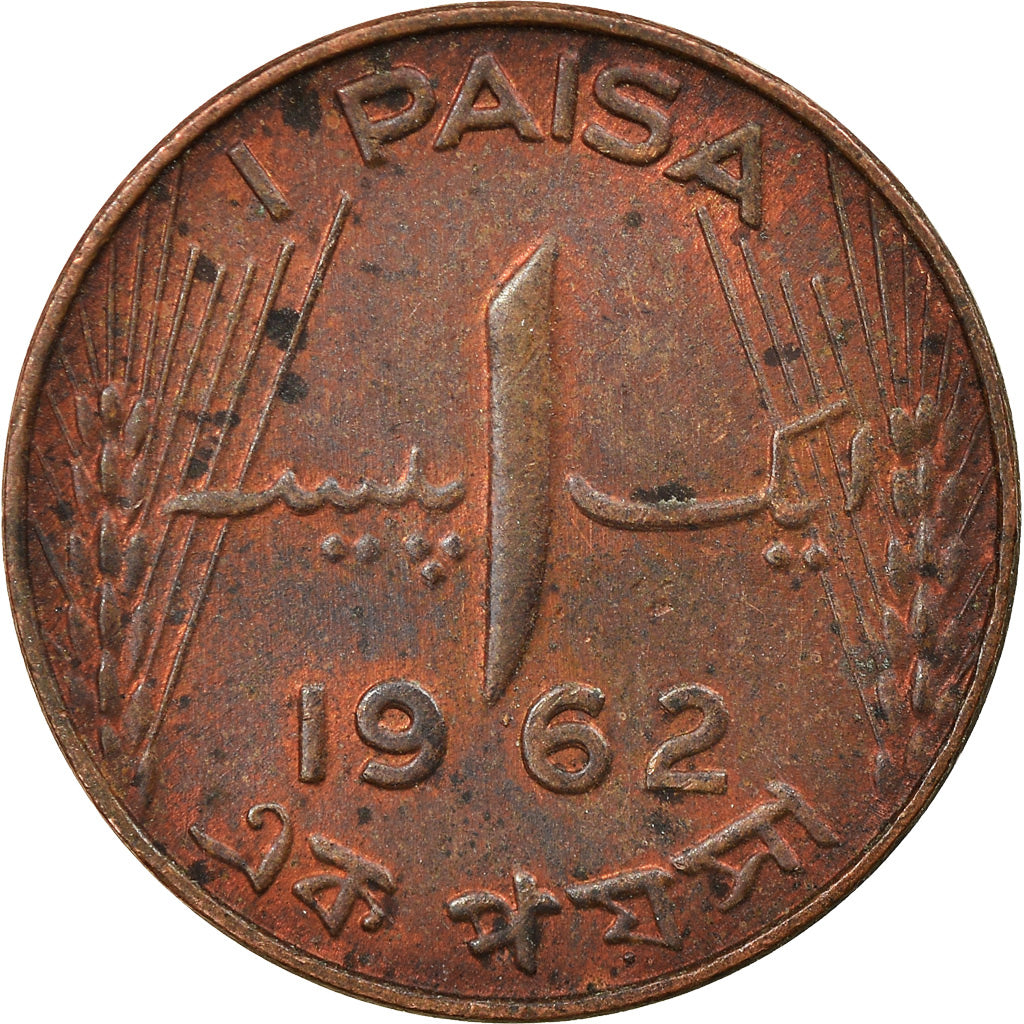 Moneta, Pakistan, Paisa, 1962, BB, Bronzo, KM:17