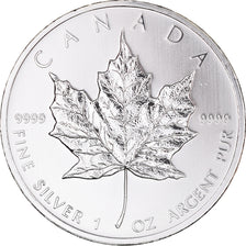Kanada, Elizabeth II, 5 dollars, 1 oz, Maple Leaf, 2010, PP, Silber, UNZ+