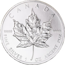 Kanada, Elizabeth II, 5 dollars, 1 oz, Maple Leaf, 2010, PP, Silber, UNZ+