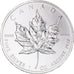 Kanada, Elizabeth II, 5 dollars, 1 oz, Maple Leaf, 2010, PP, Silber, UNZ+
