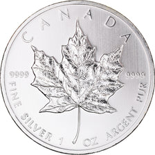 Kanada, Elizabeth II, 5 dollars, 1 oz, Maple Leaf, 2010, PP, Silber, UNZ+
