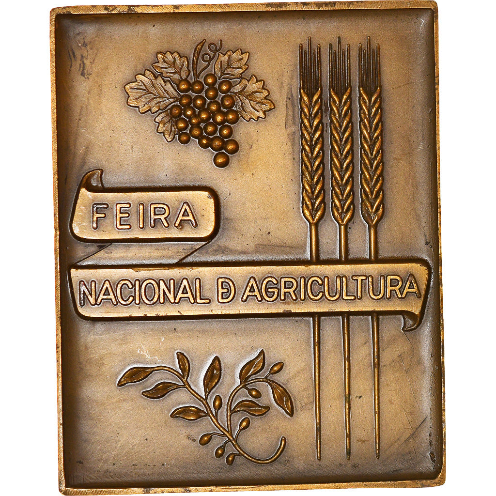 Portugal, Medaille, Feira Nacional d Agricultura, Santarém, 1972, Leonel, SS+