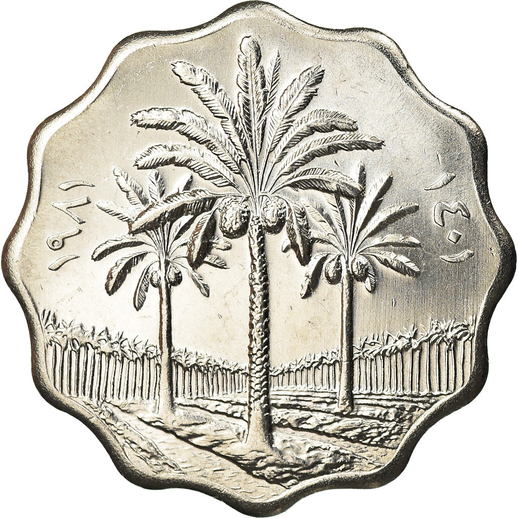 Monnaie, Iraq, 5 Fils, 1981, SPL, Stainless Steel, KM:125a