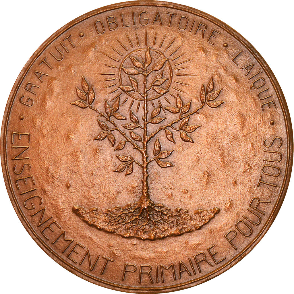 France, Médaille, Jules Ferry, Enseignement Primaire pour Tous, Arts & Culture