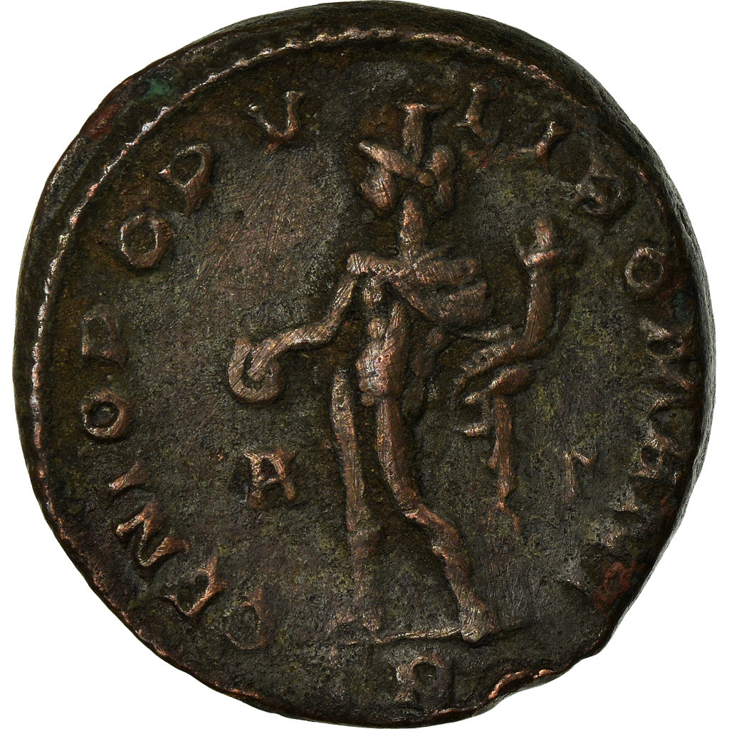 Maximus Hercules, Follis, Rome, Koper, ZF