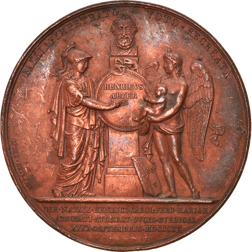 France, Medal, Louis XVIII, Naissance d'Henri, Duc de Bordeaux, History, 1820
