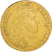 France, Louis XIV, Louis d’or à la tête virile, 1676, Paris, Or, TTB