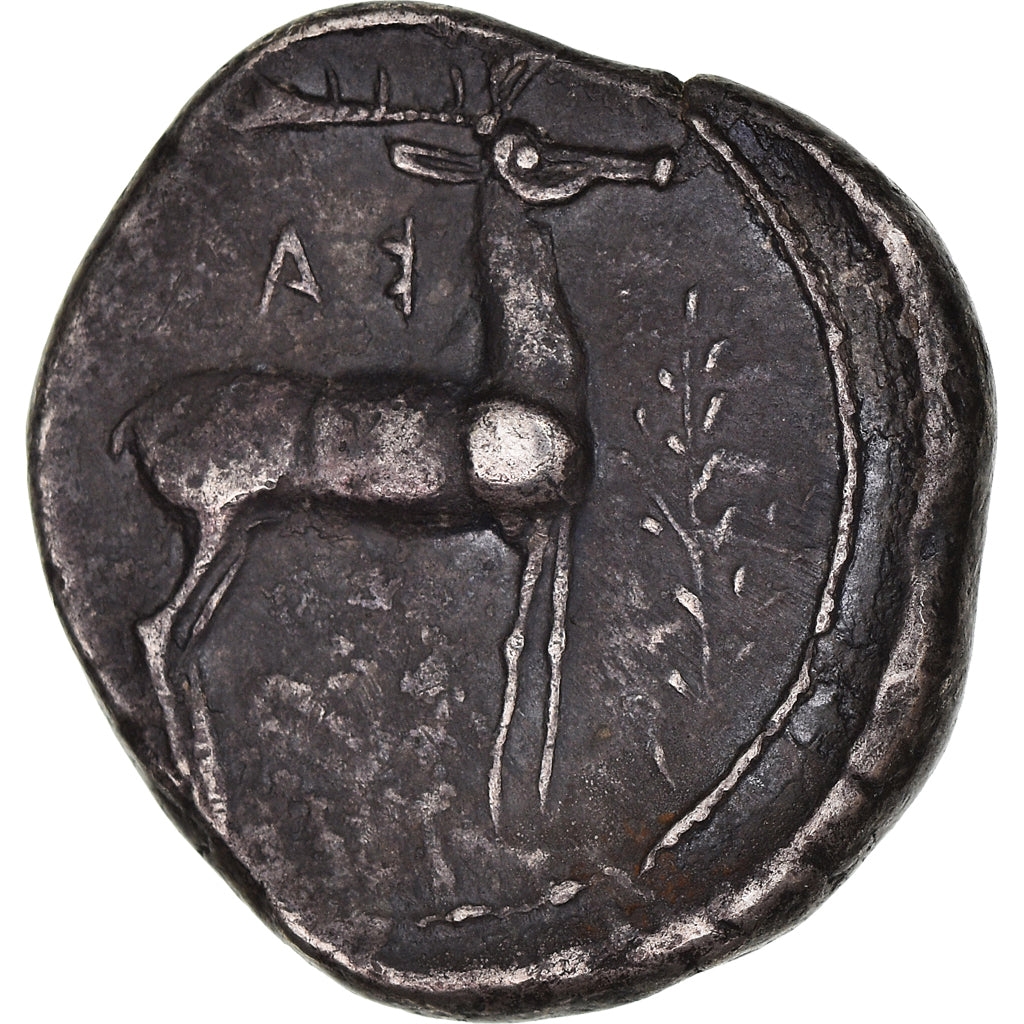 Bruttium, Stater, ca. 475-425 BC, Kaulonia, Prata, AU(50-53), SNG-ANS:177