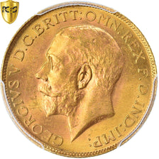 South Africa, George V, Sovereign, 1928, Pretoria, Gold, PCGS, MS64+, KM:21