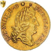 France, Louis XIV, Louis d'Or, Louis d'or à l'écu, 1692, Amiens, Gold, PCGS