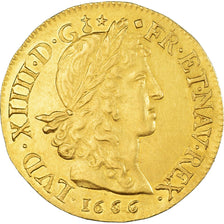 France, Louis XIV, Louis d'or au buste juvénile, tête laurée, 1666, Lyon, Gold