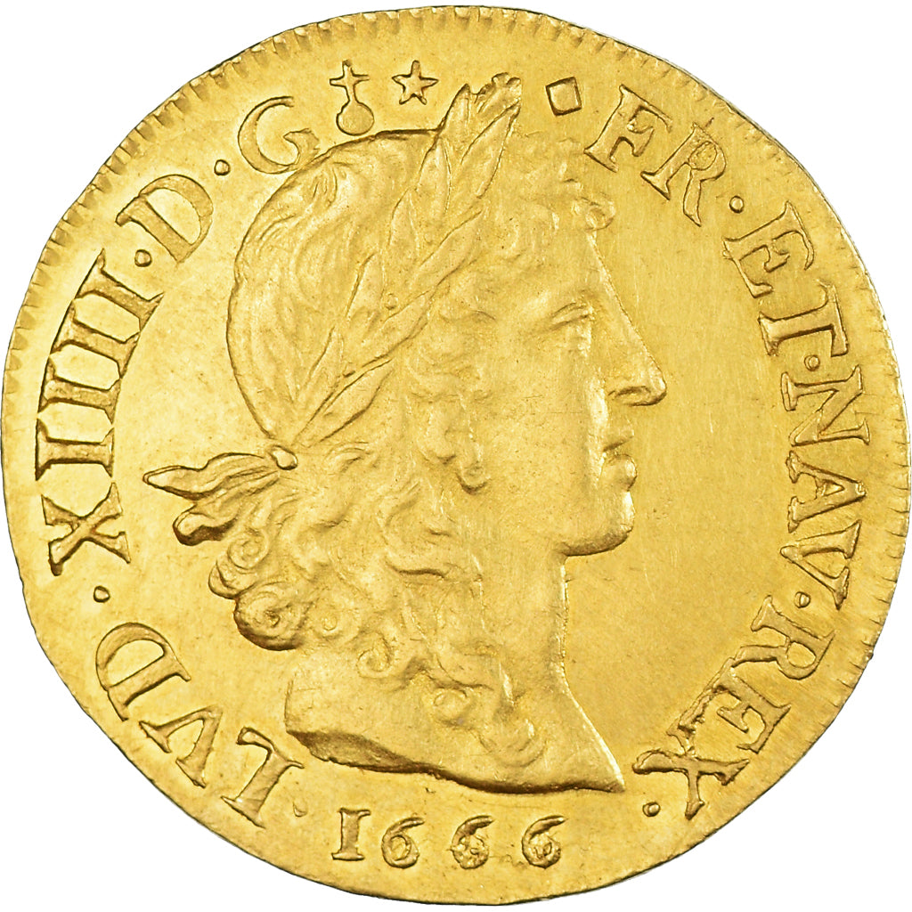Francia, Louis XIV, Louis d'or au buste juvénile, tête laurée, 1666, Lyon