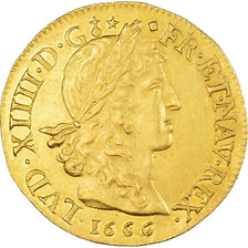 France, Louis XIV, Louis d'or au buste juvénile, tête laurée, 1666, Lyon, Or