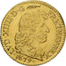 Francia, Louis XIV, 1/2 louis d'or à la tête nue, 1679, Paris, Oro, BB