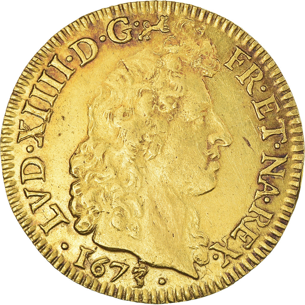 Francia, Louis XIV, Louis d'or aux 8L, tête nue, 1673, Bayonne, Oro, MBC+