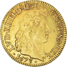 Francia, Louis XIV, Louis d'or aux 8L, tête nue, 1673, Bayonne, Oro, MBC+