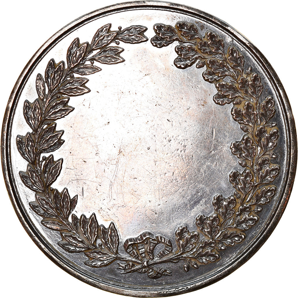 France, Médaille, Louis Philippe Ier, History, Depaulis, TTB+, Argent