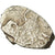 Coin, Russia, Peter I, Kopek, 1682-1725, VF(20-25), Silver