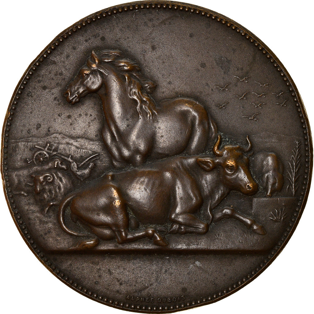 France, Médaille, Agriculture, Animaux de la Ferme, Alphée Dubois, TTB+