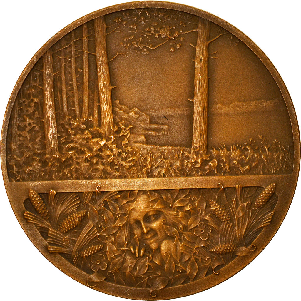 France, Médaille, Société Française des Amis des Arbres, Eaux et Forêt