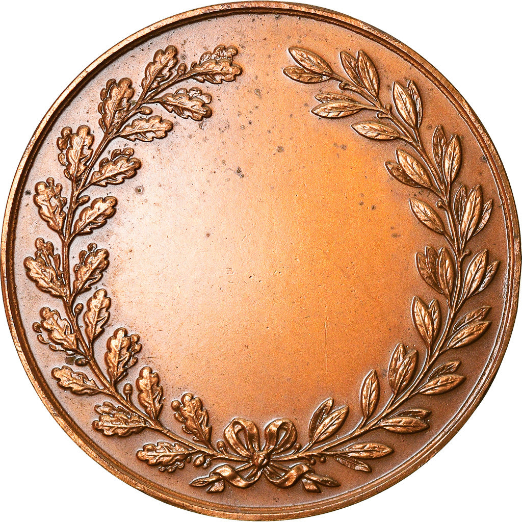 France, Medal, Valenciennes a bien mérité de la Patrie, Politics, Society