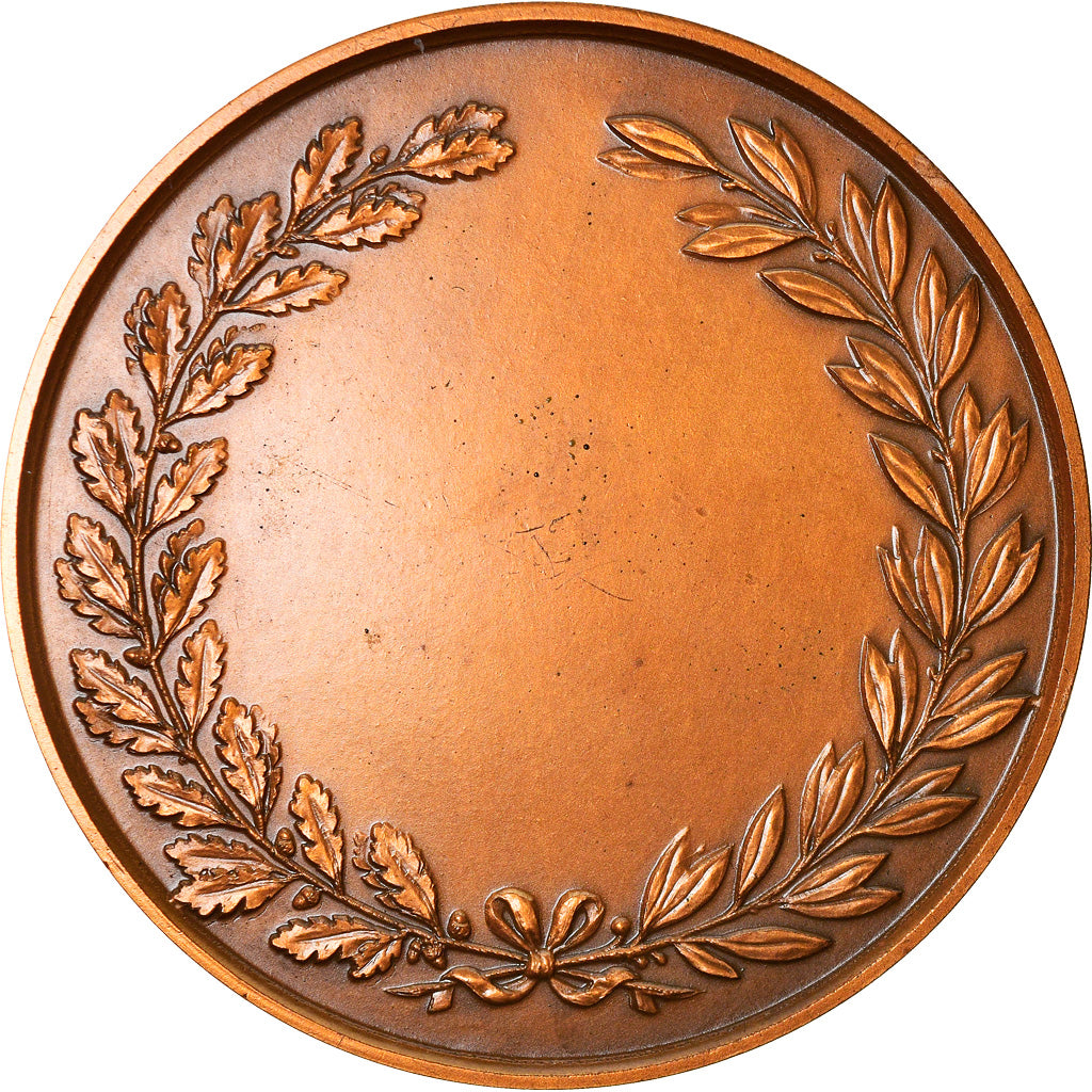 Francia, medalla, Ville de Valenciennes, Geography, 1987, Lemoine, SC, Bronce
