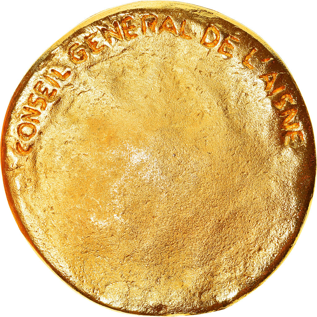 France, Médaille, Conseil Général de l'Aisne, Chemin des Dames, Politics