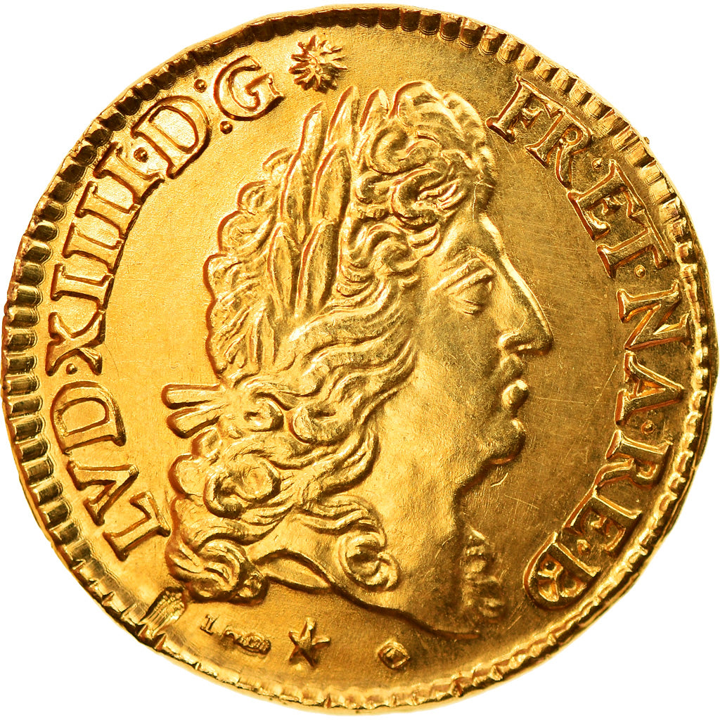 Frankreich, Medaille, Louis XIV, Louis d'or de Béarn, 1691, Gold, Restrike, UNZ