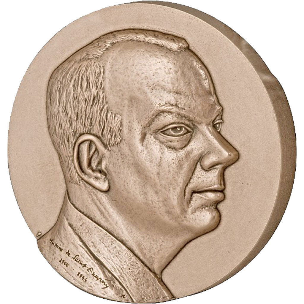 Frankreich, Medal, The Fifth Republic, Aviation, STGL, Bronze