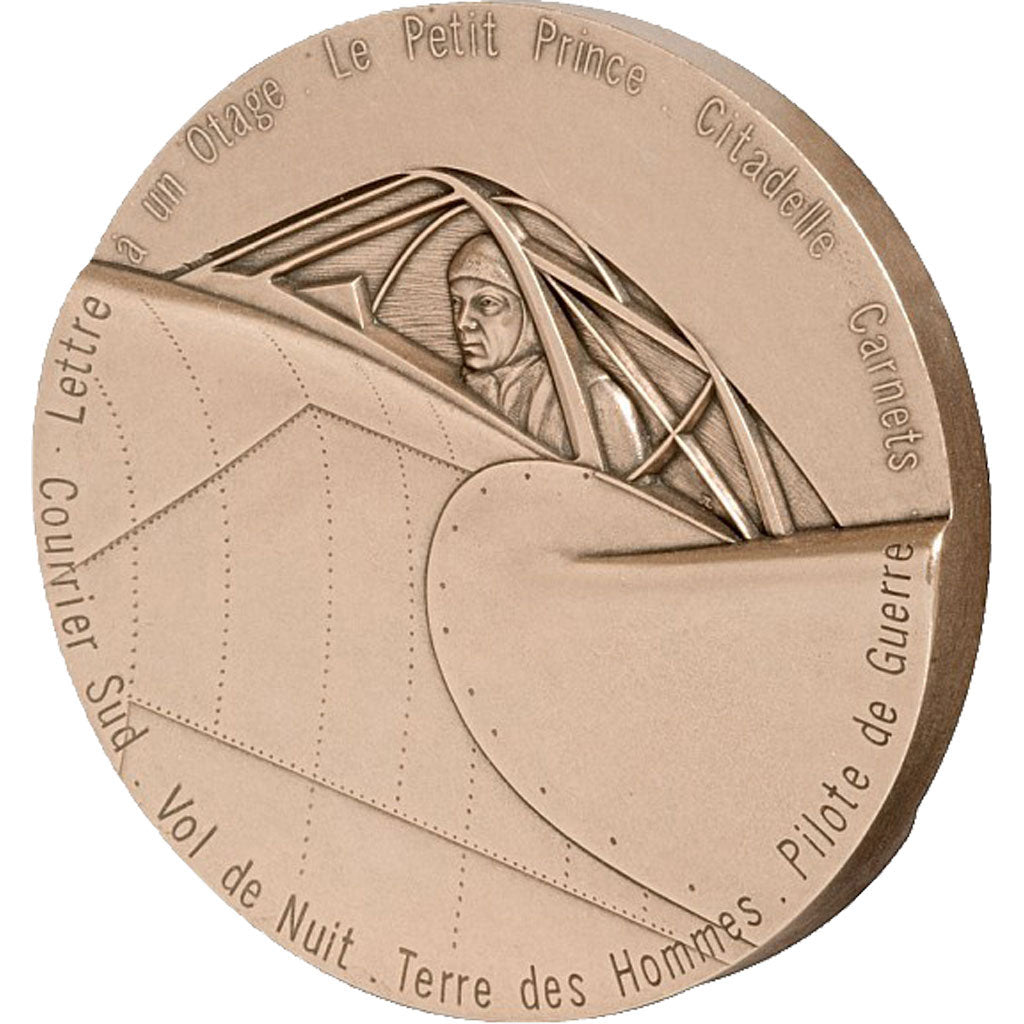 Frankreich, Medal, The Fifth Republic, Aviation, STGL, Bronze